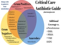 gram negative antibiotics chart