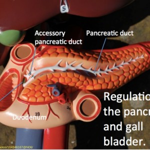 164: Drug induced pancreatitis